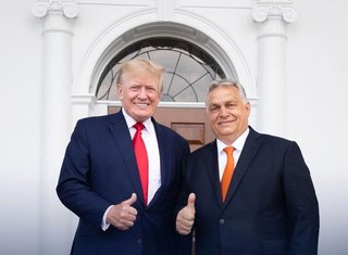 https://i.postimg.cc/cJgcmgbF/scale-1200.jpg