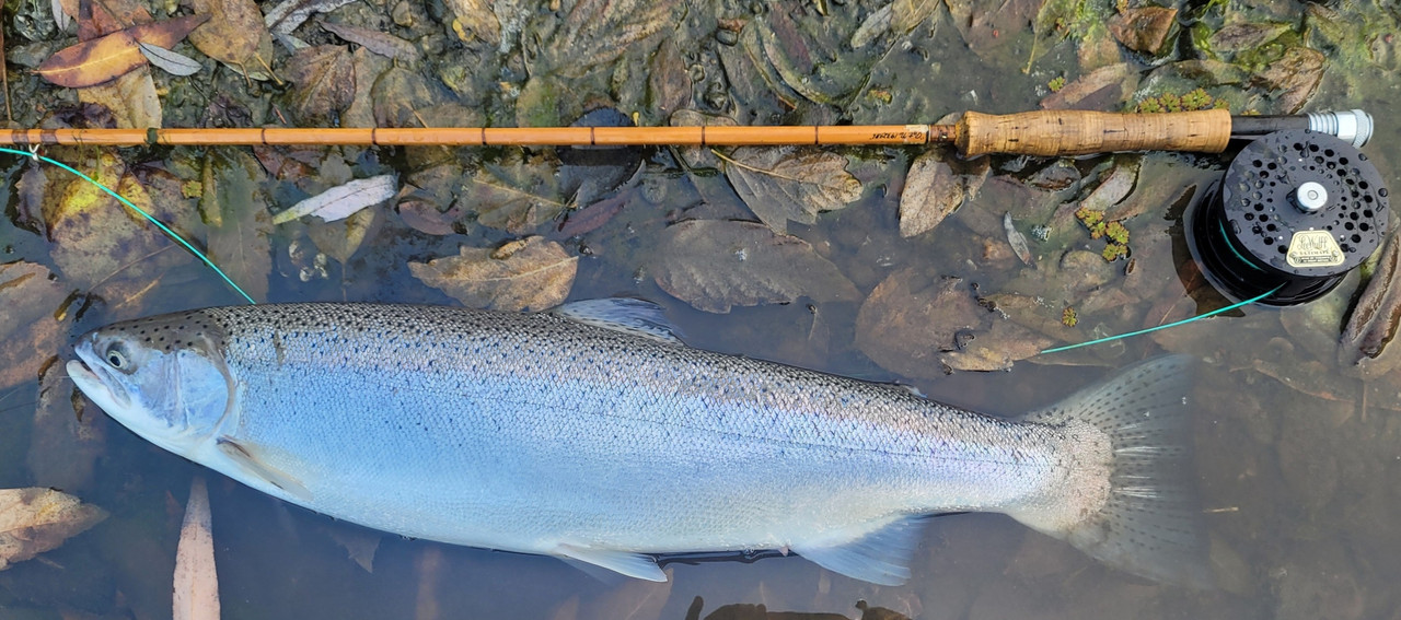 Resized_20231216_084320 (4)