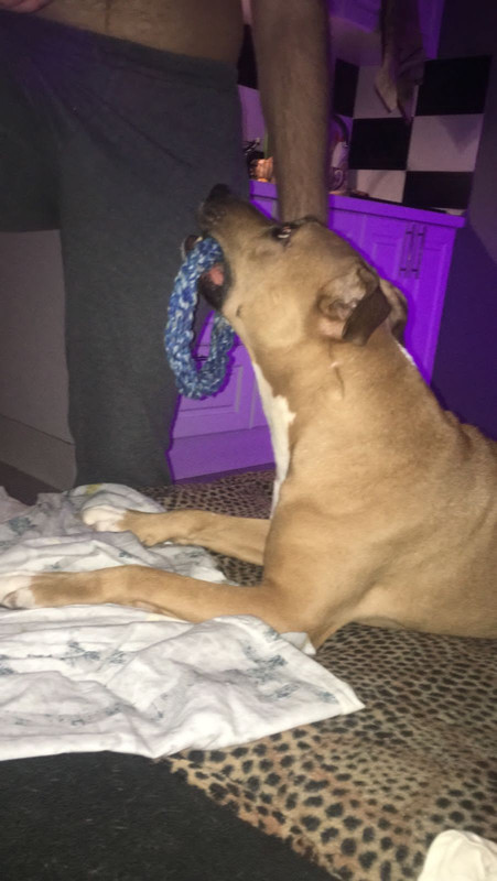 5C356B23-55E7-475C-8E4F-BF6C9401C46F