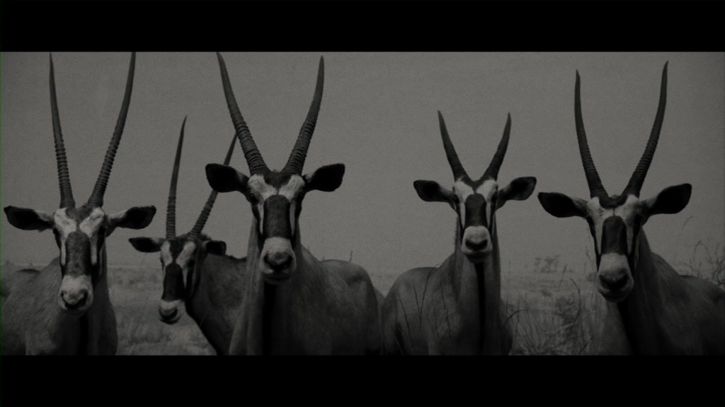 vlcsnap-2018-10-04-12h03m12s642