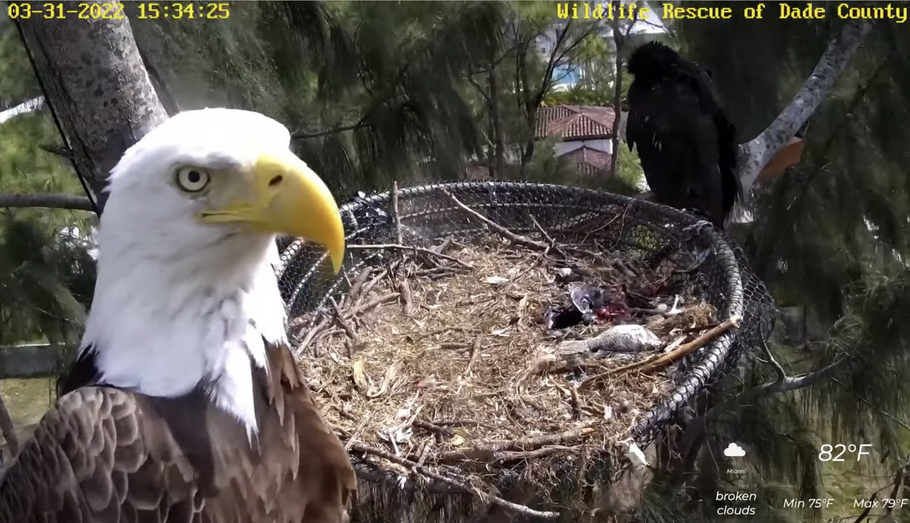 FD401E6F-AF93-45B5-8E10-A02E97CBBFE0