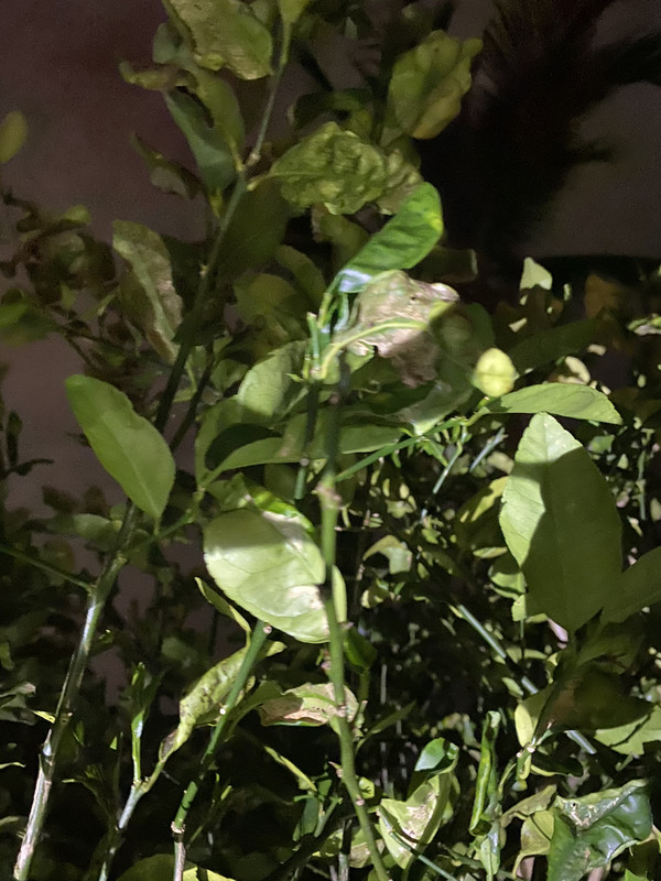 47F92313-27B8-4A55-B8DB-8661A0F9522A