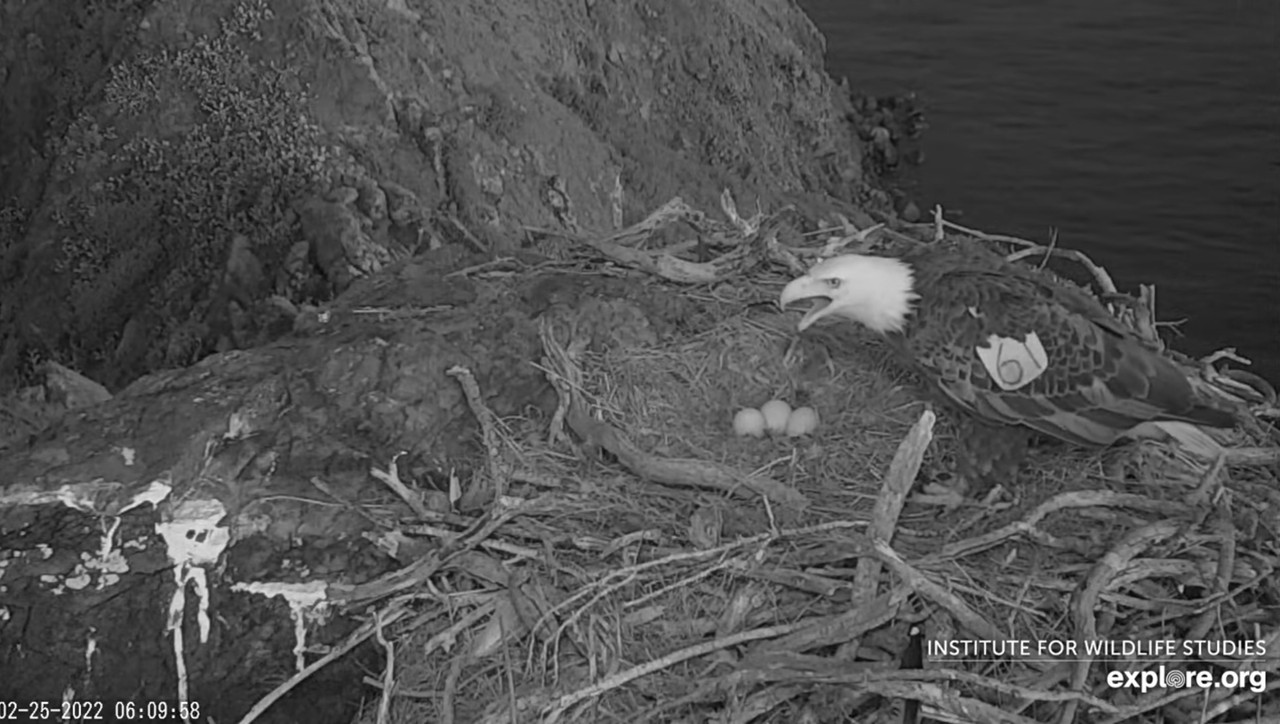 BE99E083-B769-4742-93D2-8BC27FE1C57C