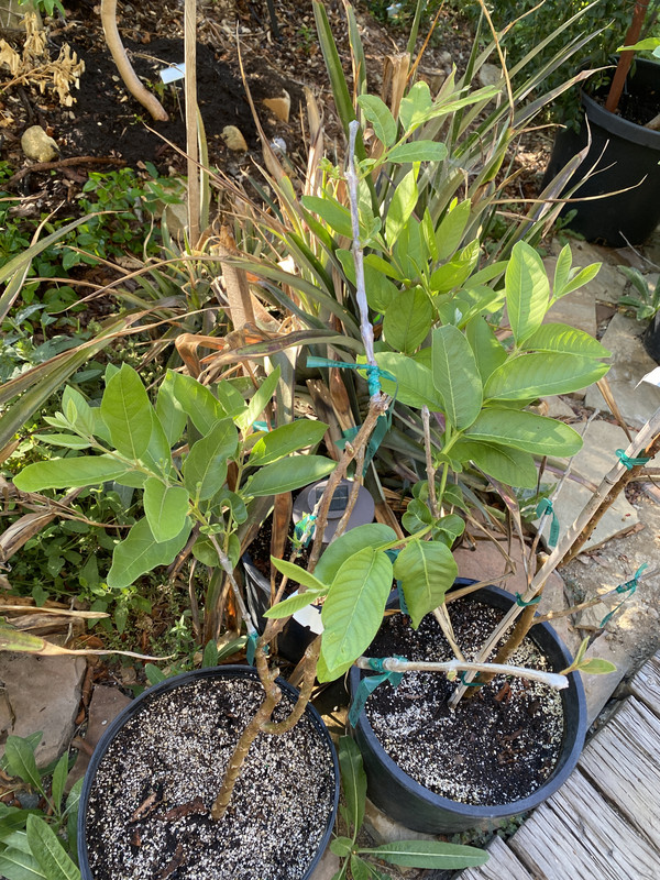 2B5F36F0-2108-44F1-8487-D979B941DF2D