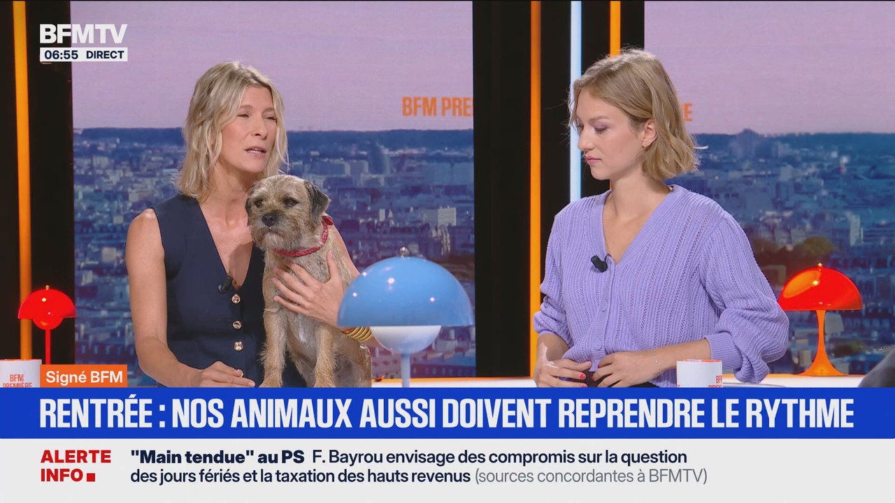 Première édition 6h-8h30 (BFMTV)_2025_09_03_04_55_52.ts_snapshot_01.01.33.656