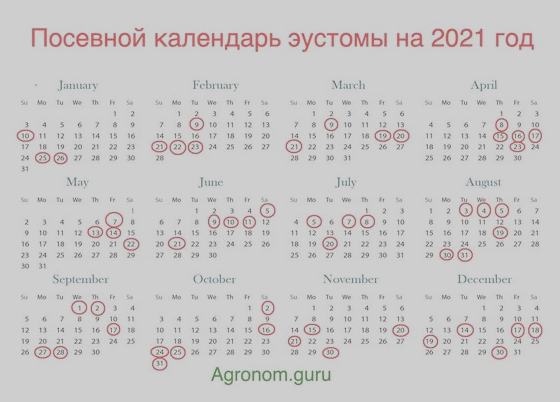 Лунный Календарь Посадок На Июнь 2023 Лунный Календарь Посадок На Июнь 2023