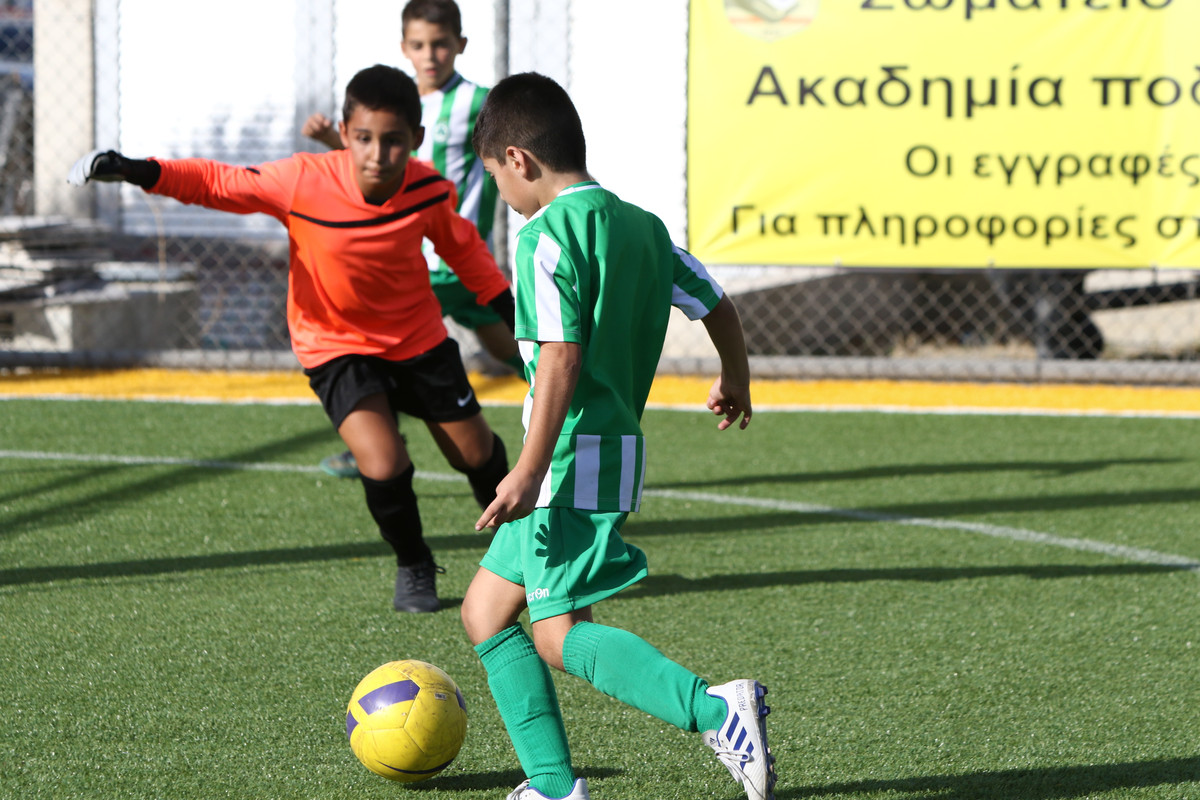 VIK_0284