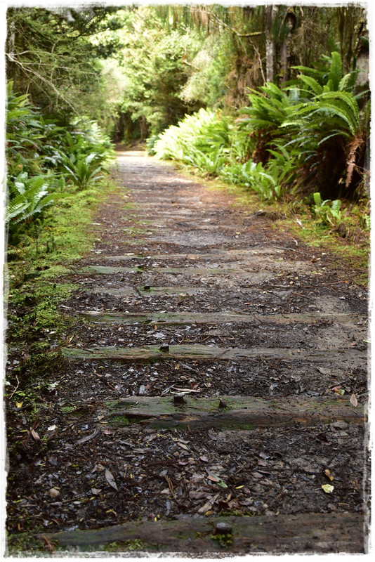 Fiordland NP: Humpridge Track (febrero 2021) - Escapadas y rutas por la Nueva Zelanda menos conocida (55)