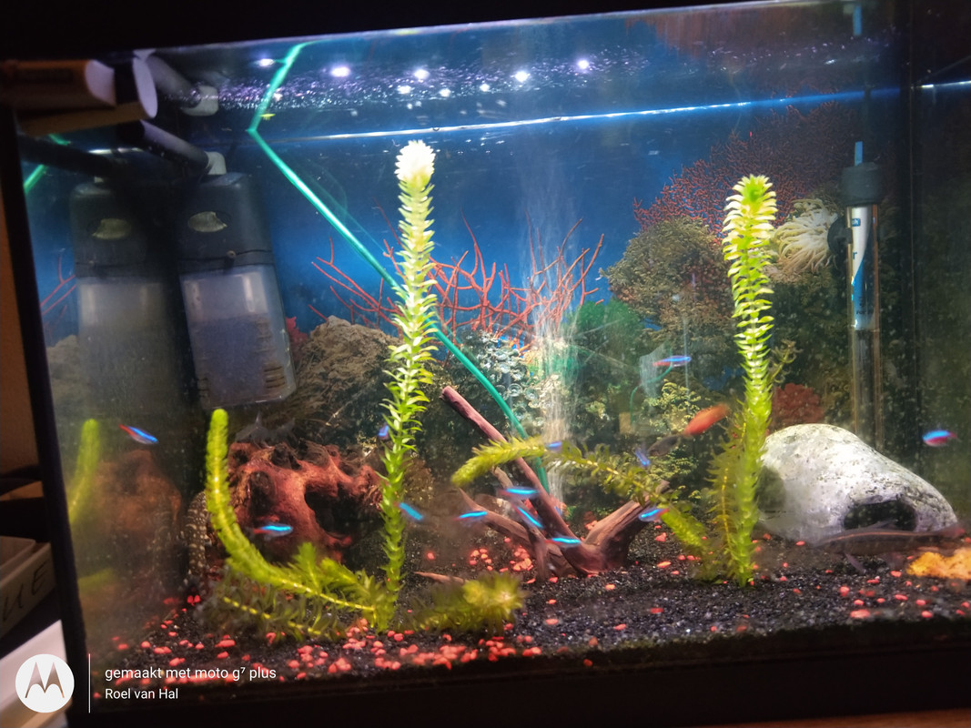 IMG_20201108_170829289