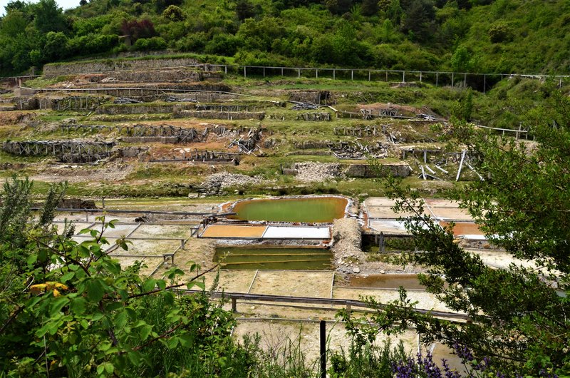 ALAVA Y SUS PUEBLOS-2011/2021 - Blogs de España - VALLE SALADO DE AÑANA-21-5-2021 (58)