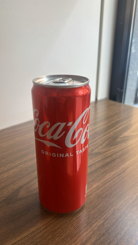 Coca-Cola Lattina 330 ml