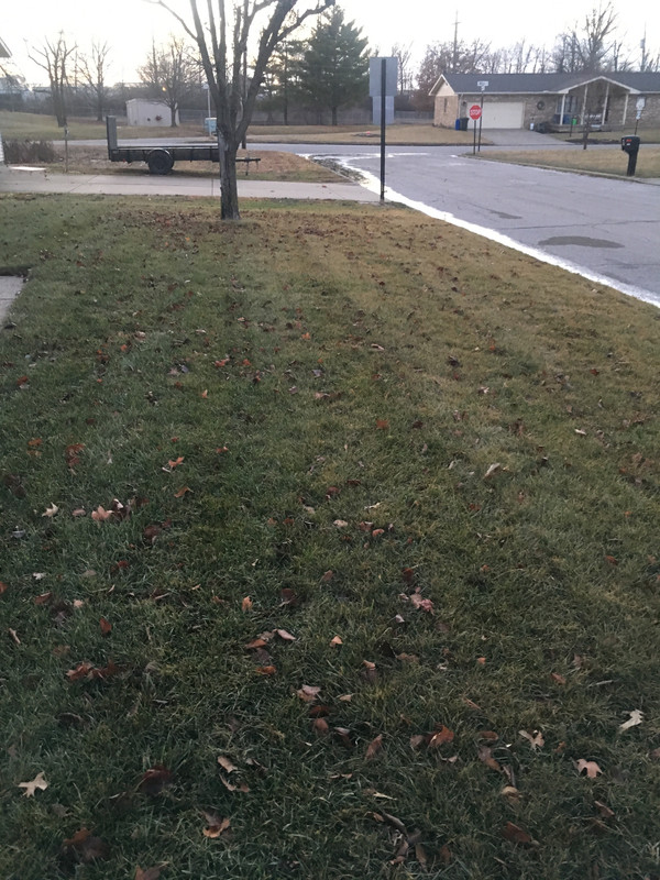 E5288624-5718-496E-87D8-FEDFFED88A29