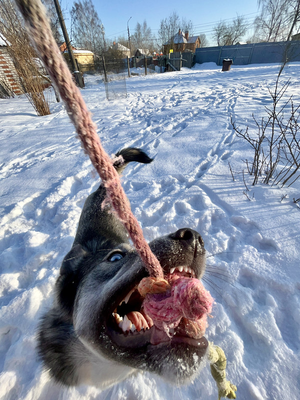 7FDF101E-2B4A-4179-BB70-38B6BF946C26