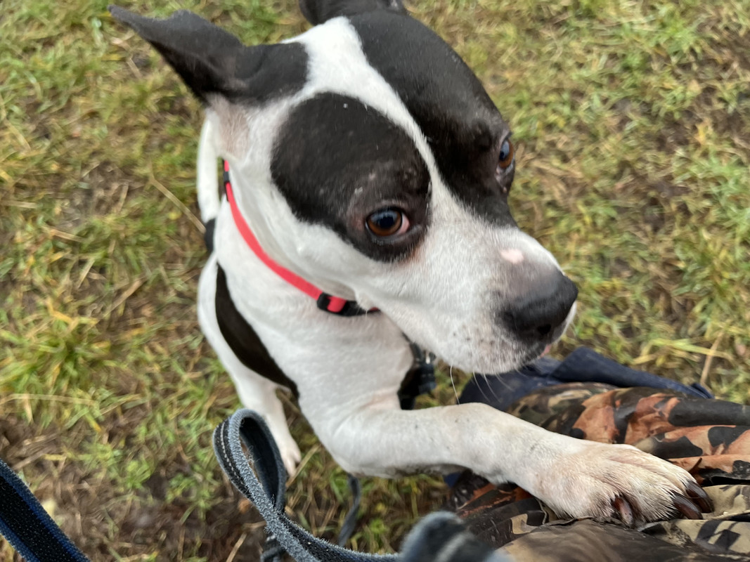 7F9CFF08-3880-42F1-A0DF-1E4AE2C6BC0A