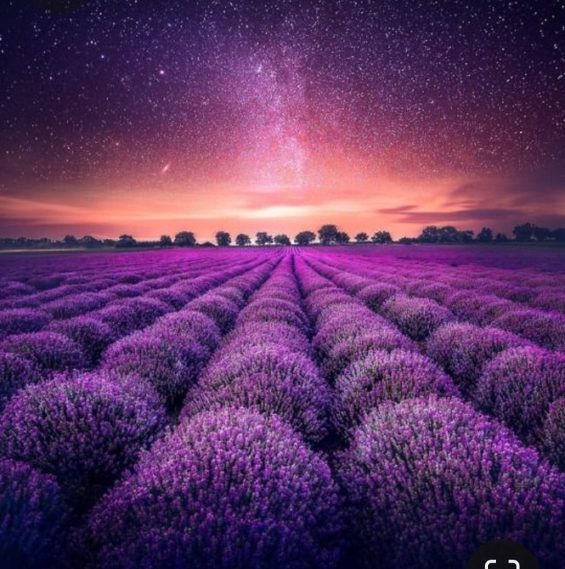 Screenshot_20231011_135717_Pinterest