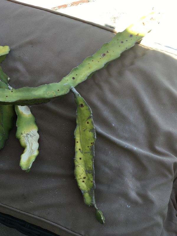 73F9DFE1-30A8-41C8-A344-0883627DB61C