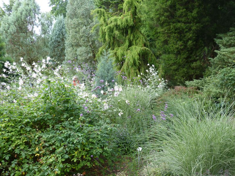 2014-07-13 Arboretum Härle 16