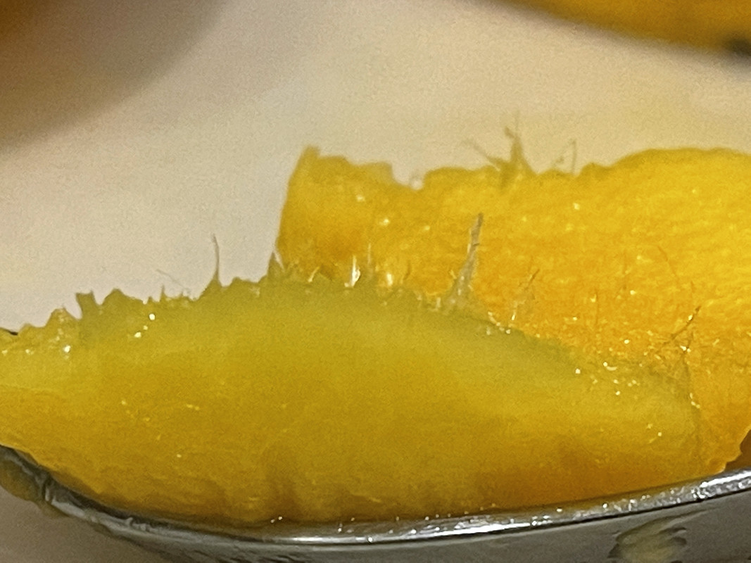 F9C09713-F885-46E9-B2BF-44A7390779E3