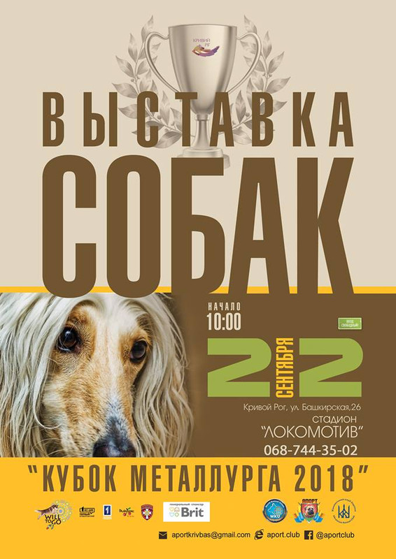 38273631_2057489080955177_5745086385572806656_n