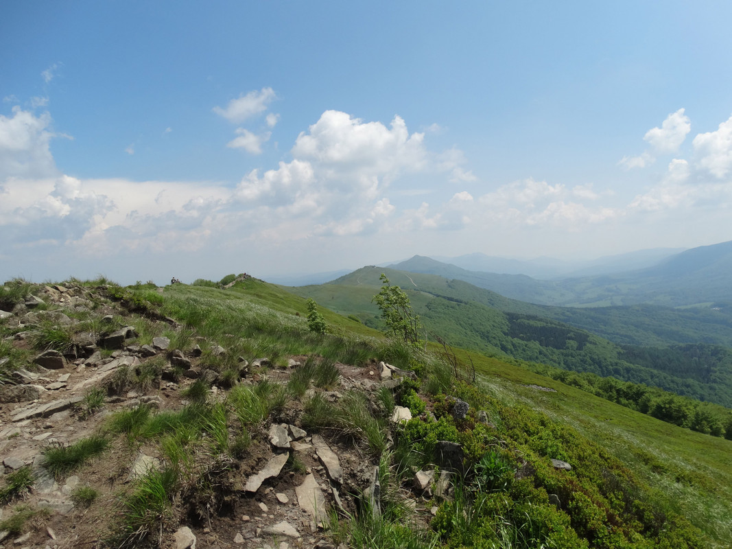 031 - DSC00860 (Ace79)