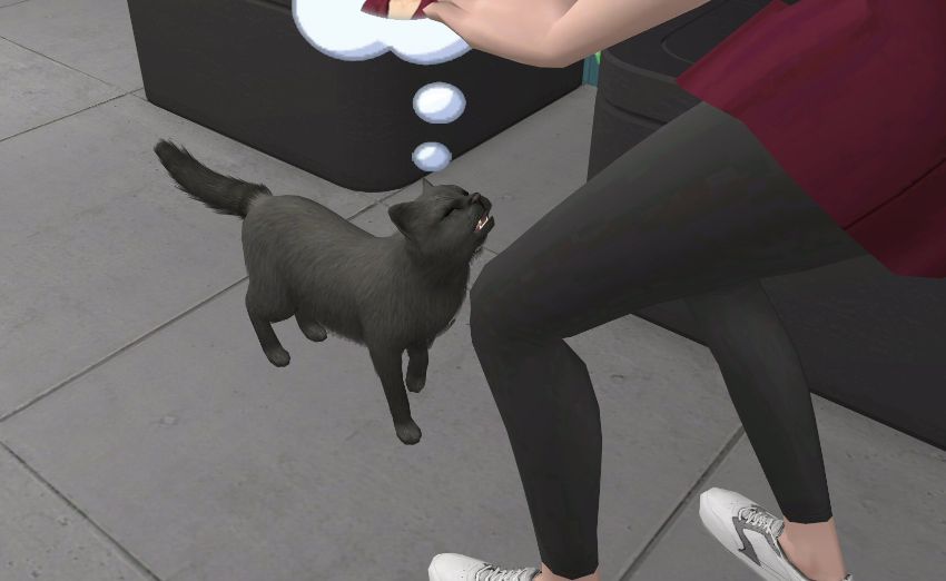 Sims2-EP9-2021-01-15-10-13-42-46