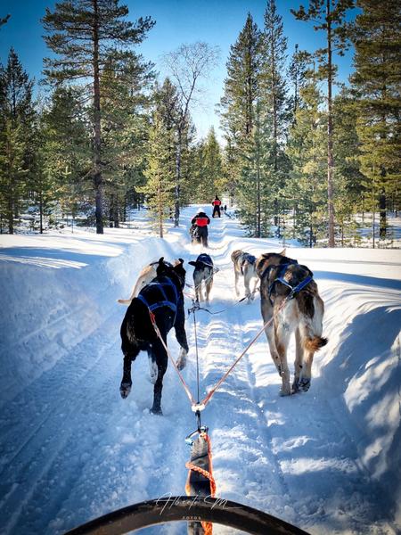 PARTE II - Auroras - 3.er reportaje por Laponia norte - Marzo 2025 (5)