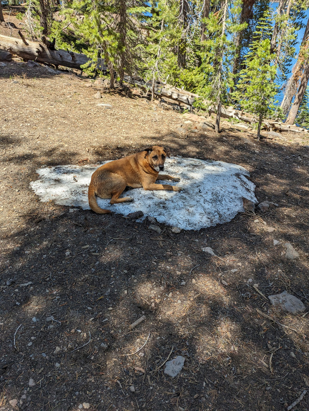 PXL_20250613_213216593