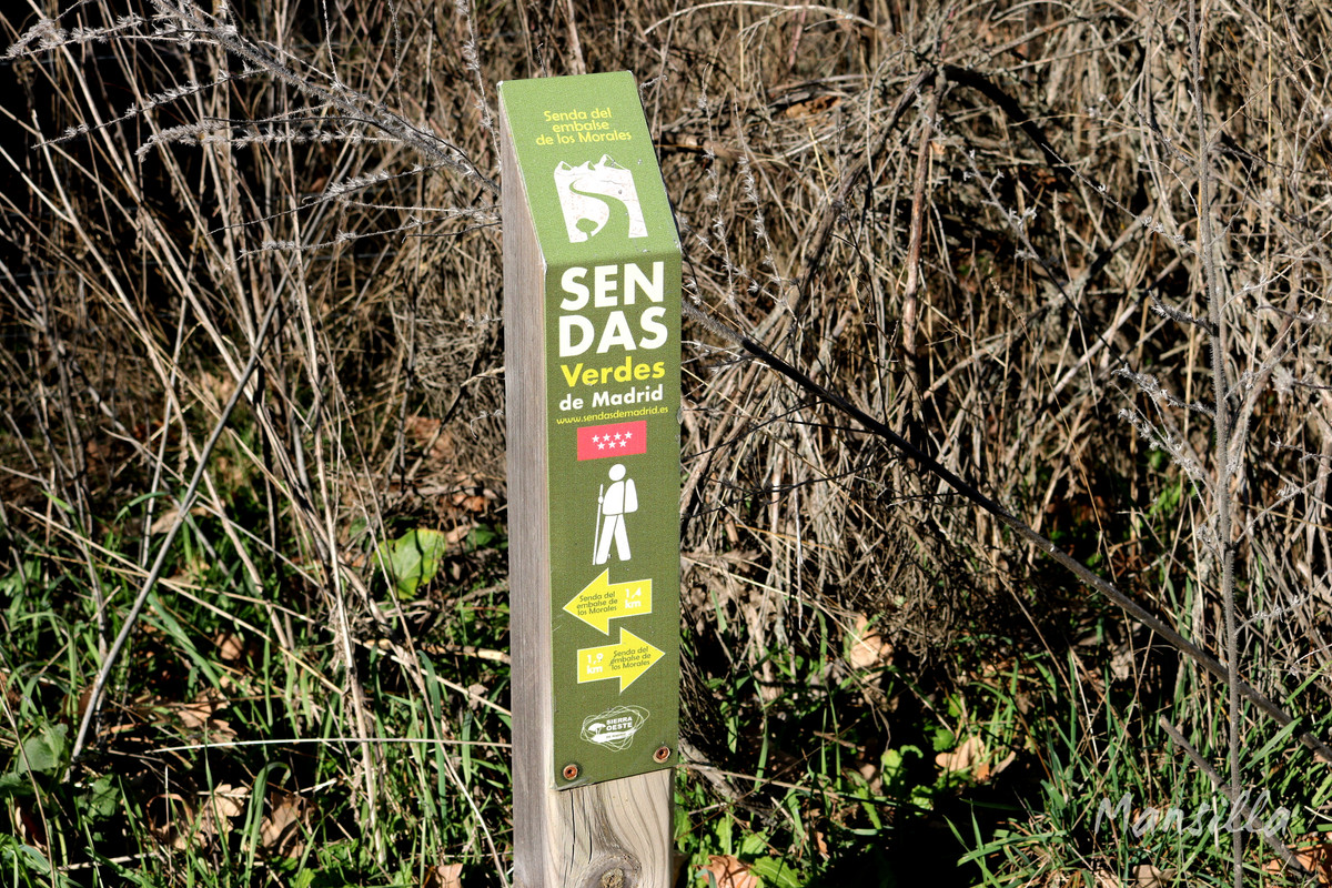 Castañar_RDPR_0264_03