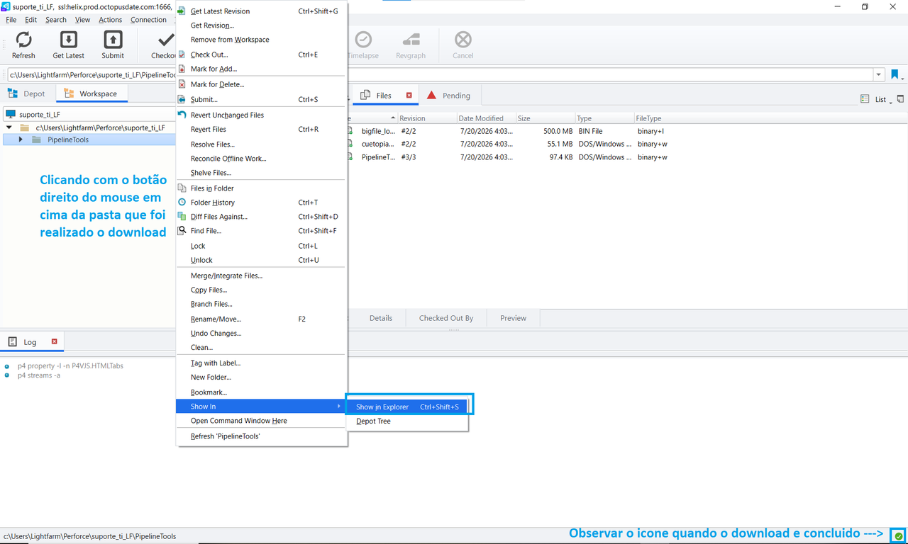 Explorer aberto no diretório local após Get Latest Revision