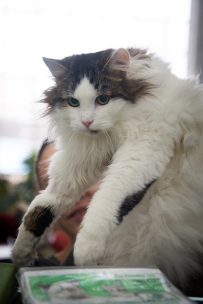 A2437BD5-0B12-46A3-B622-C8928BF44712