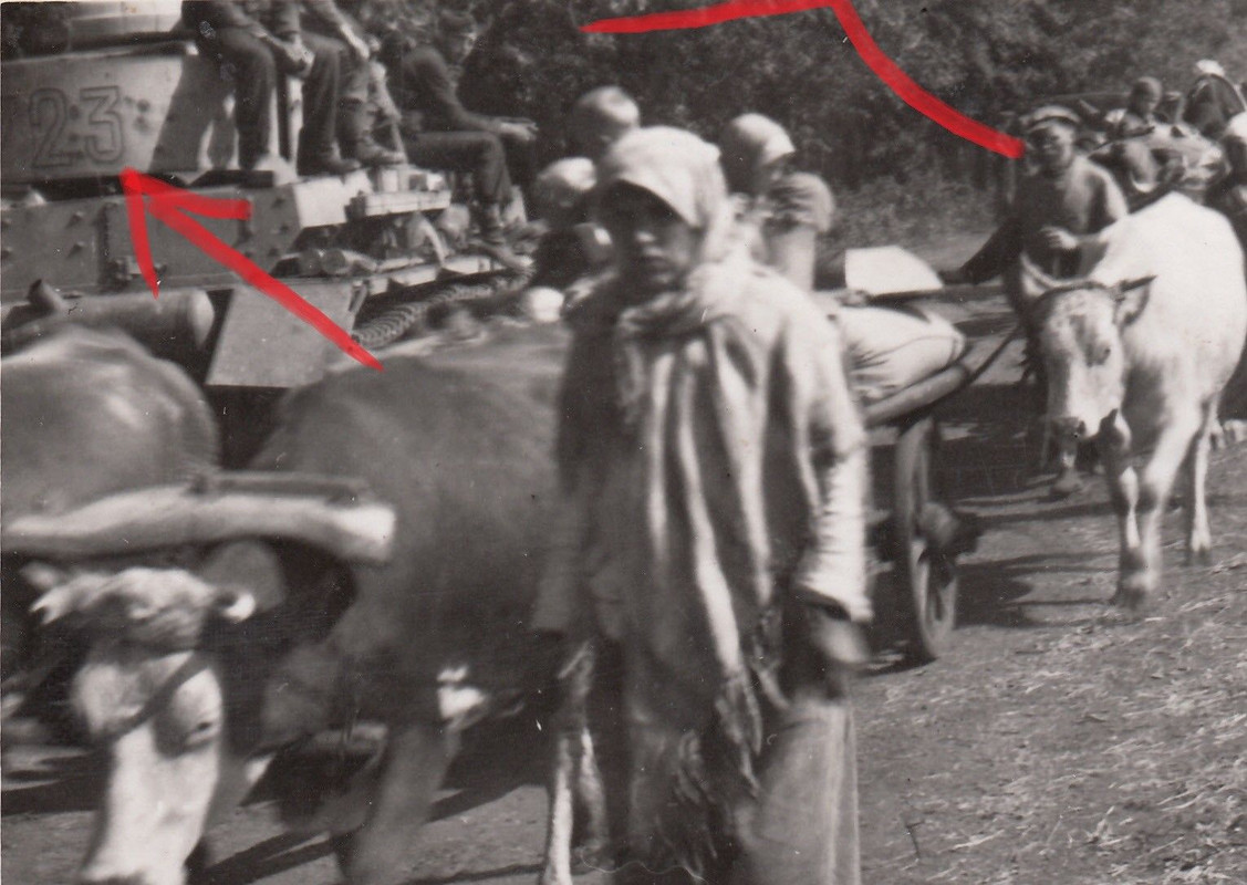 Soldat 3.Panzer-Division-Totenkopf Panzer Tank Turmnummer Bevölk