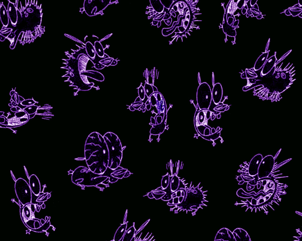 Courage Credits (Re-creation) #3 (Ed Edd n Eddy)