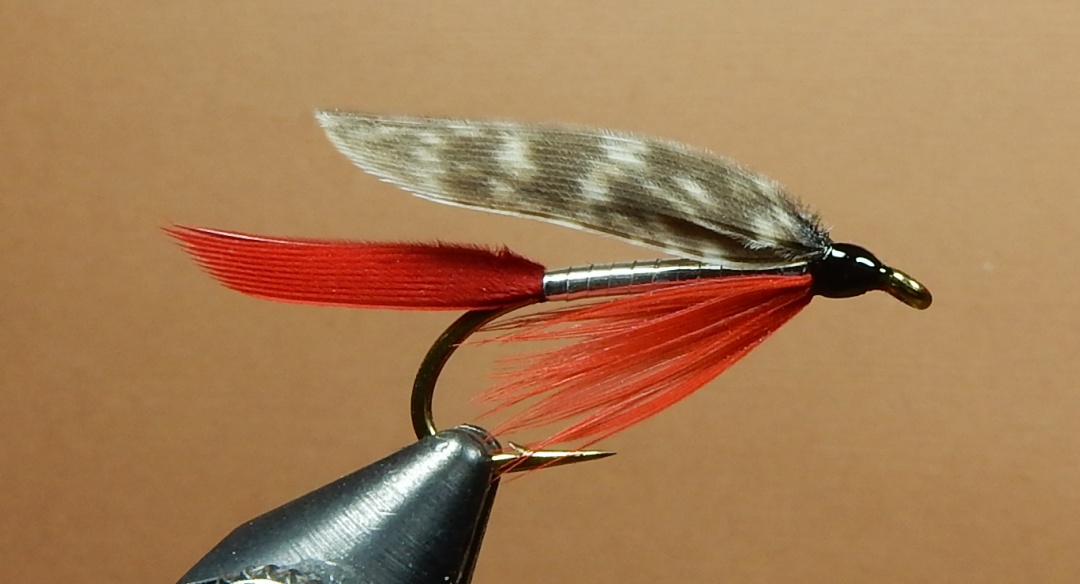 Montreal Wet Fly, A Traditional Bergman Pattern