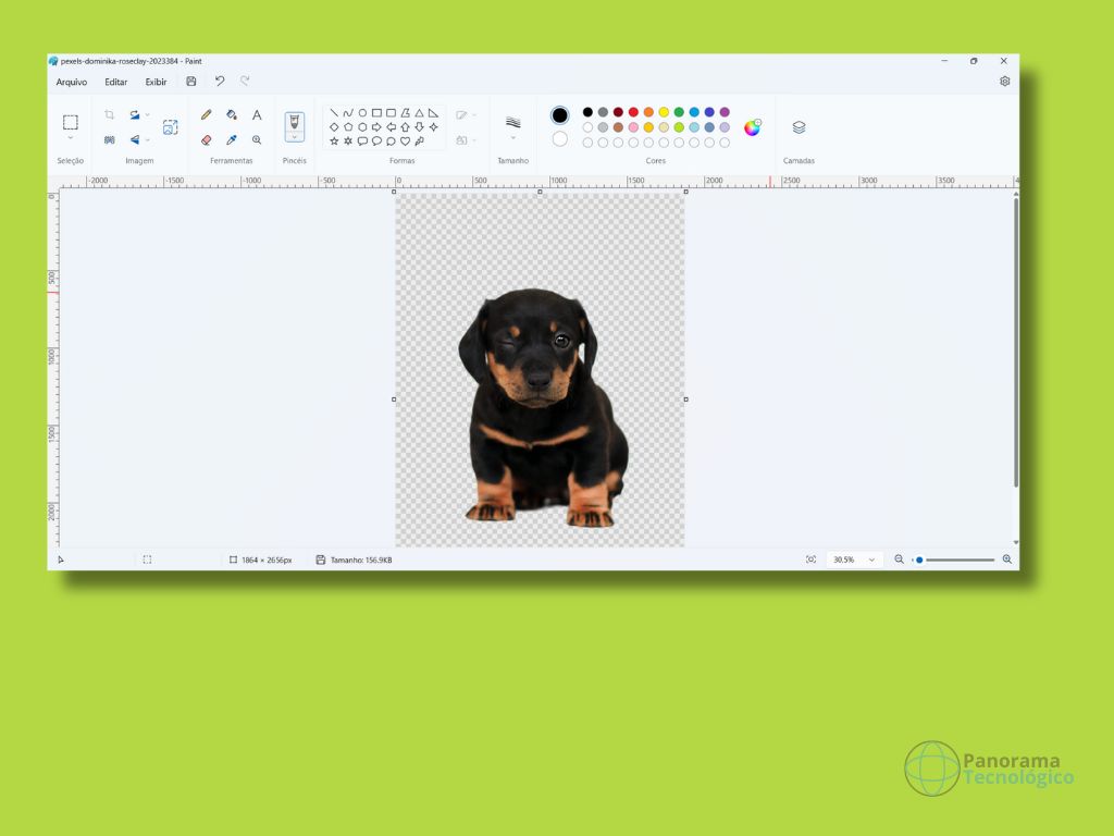 Print da tela do Microsoft Paint com recurso de removendo fundo de imagem com paint já aplicado