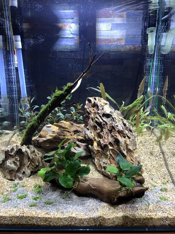 1F0C021D-FB4E-484D-A250-6F8DC634F52C