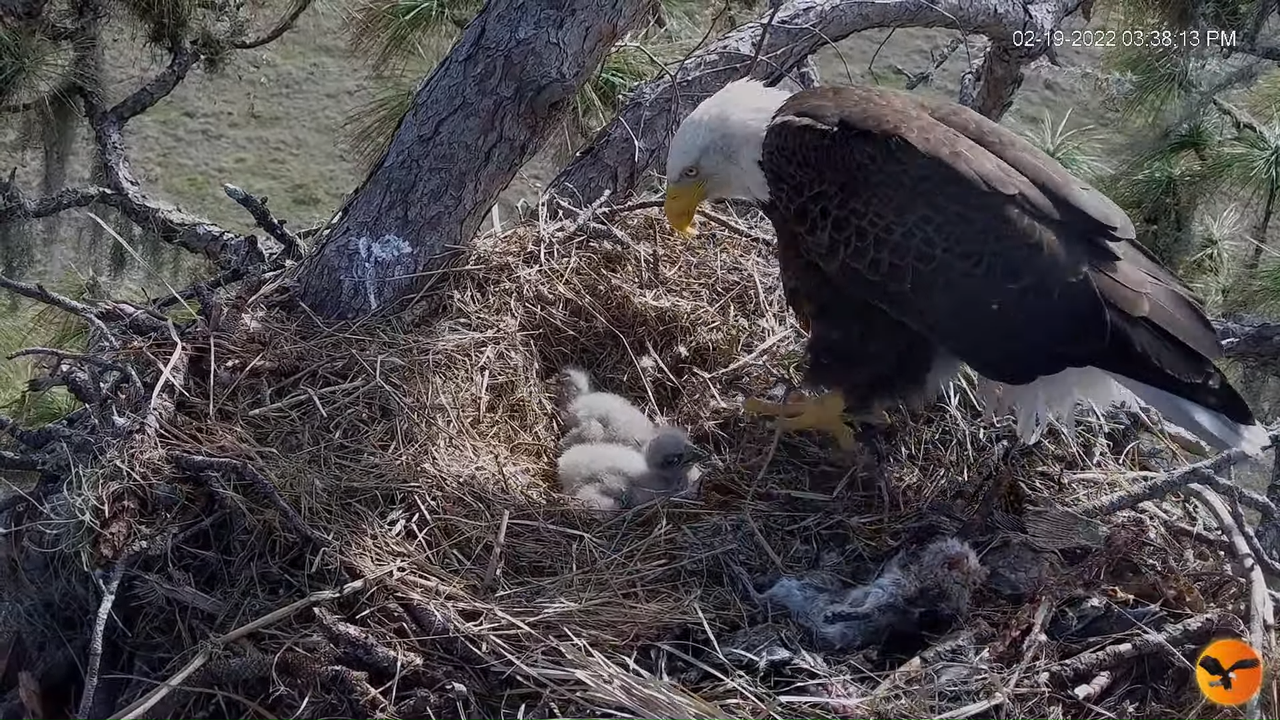 EC 4K Overhead Cam 10-5-35 screenshot