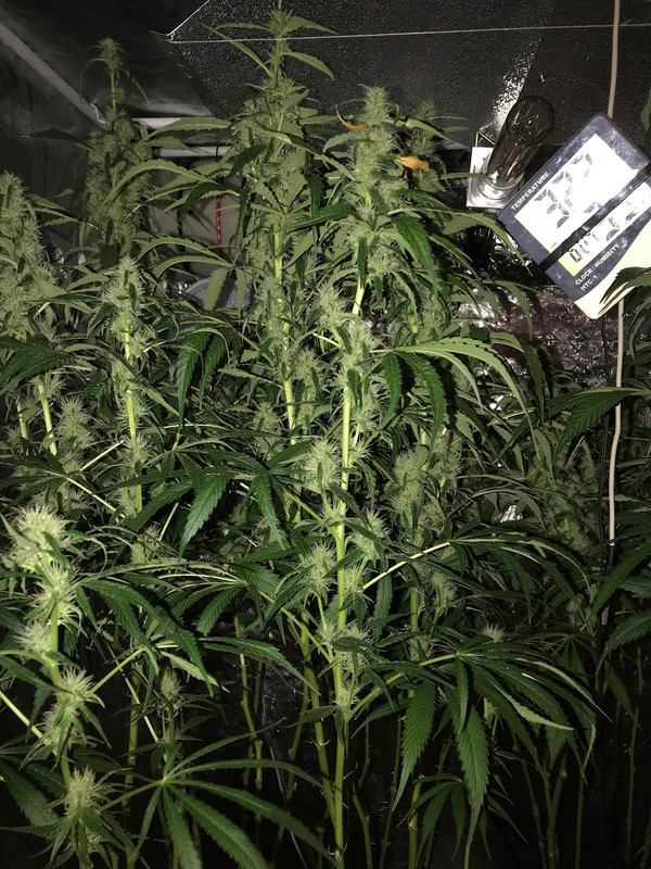 854D4333-84BF-4AF9-B6EE-F7D01E7046FD