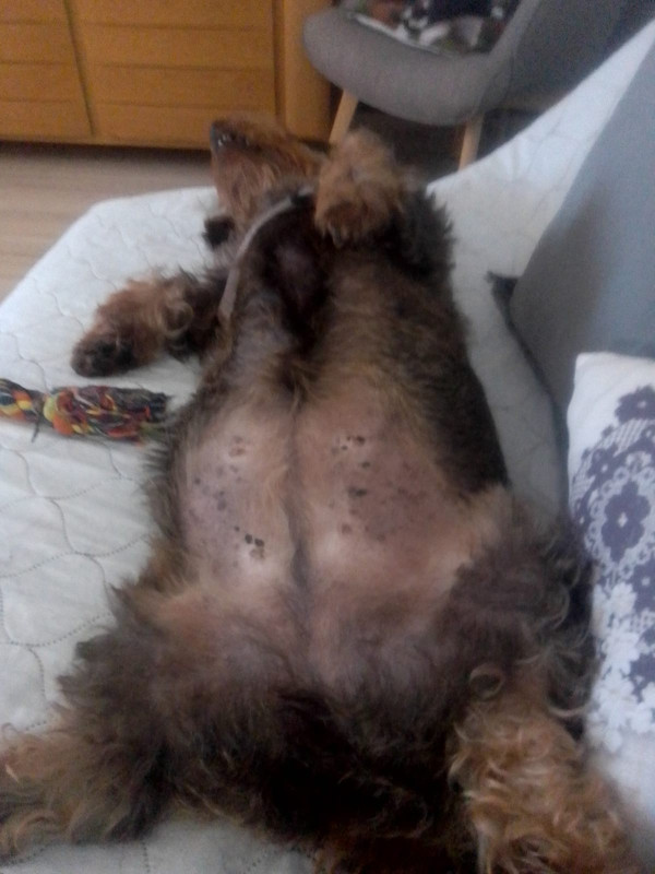 [Image: IMG-20240107-WA0009.jpg]