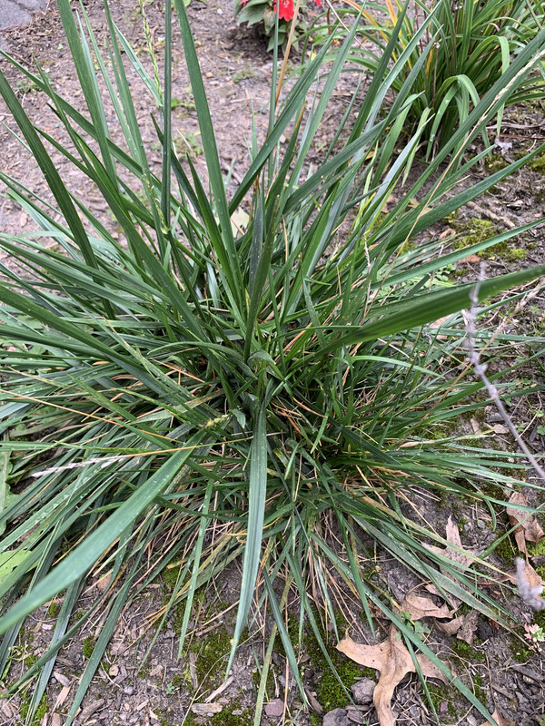 D0EE81F4-C161-413C-9A12-FCB7FB0D465E