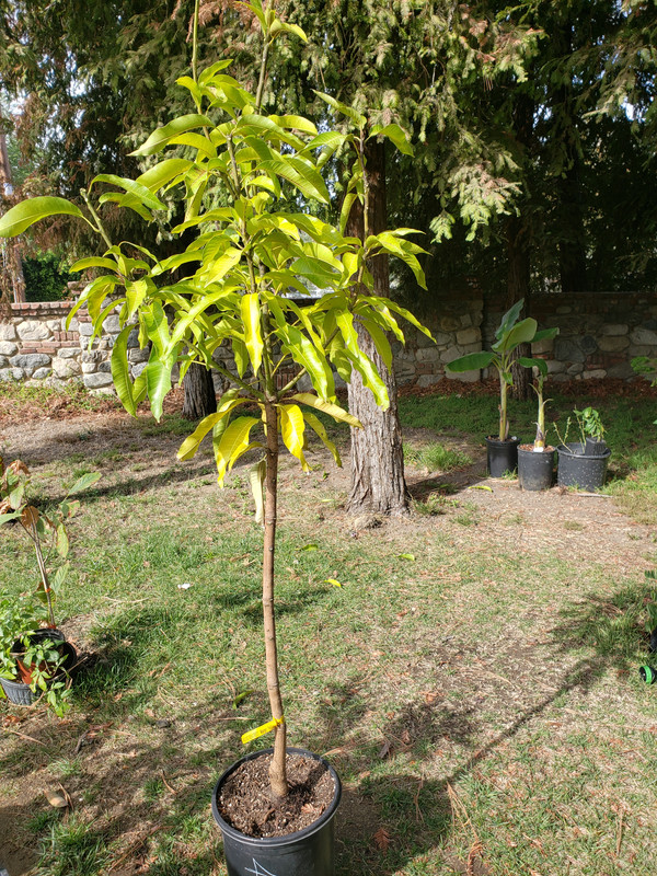 20201103_101618