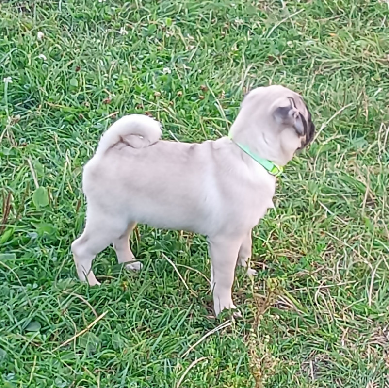 CsW0lWgl7Tkv80a2w4xlRsgSTFnrLhoIV_gqrnCnxgfiXVVrObY-nUYa_OQ2Y_e_wf_URsESg6-3bqbHKUWgXx4d