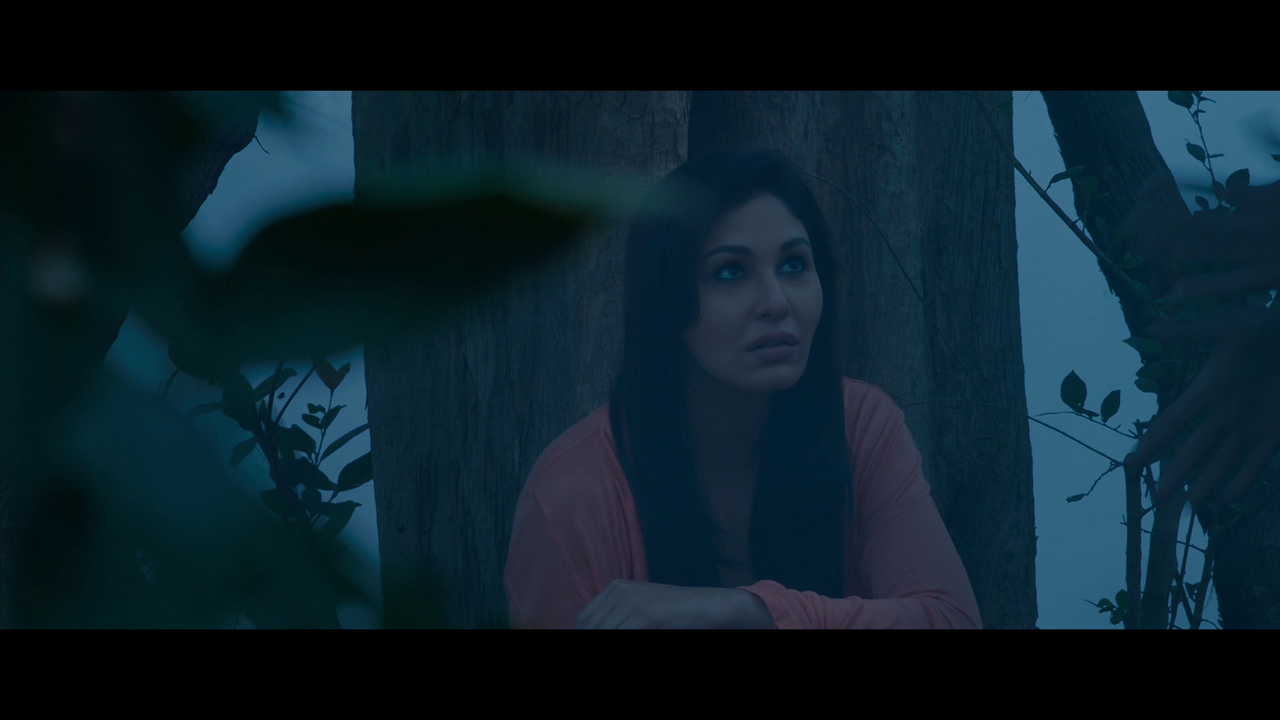 vlcsnap 2026 02 27 19h25m30s044