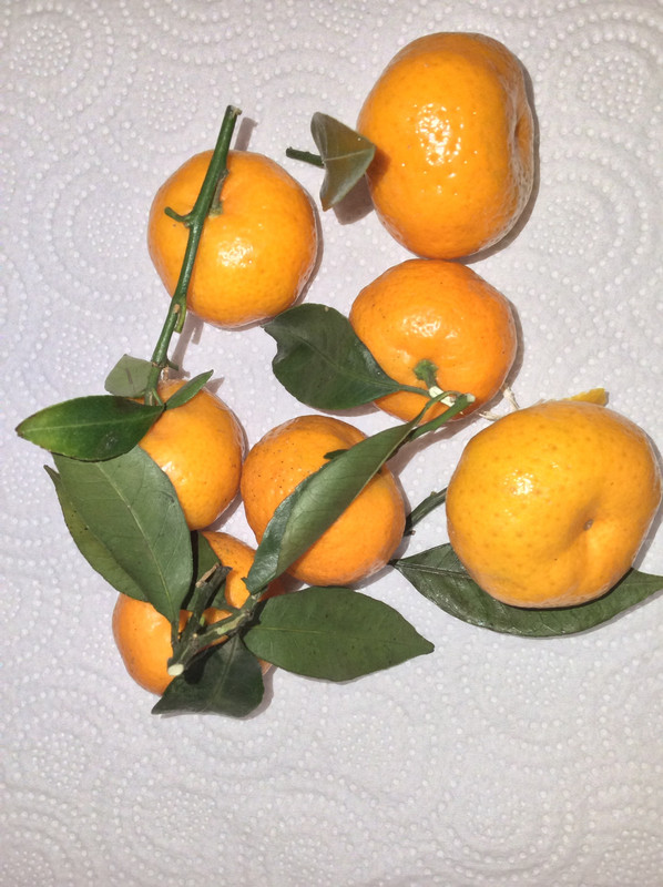 EF7576BC-92C2-470F-9048-6DA48A00A0B7