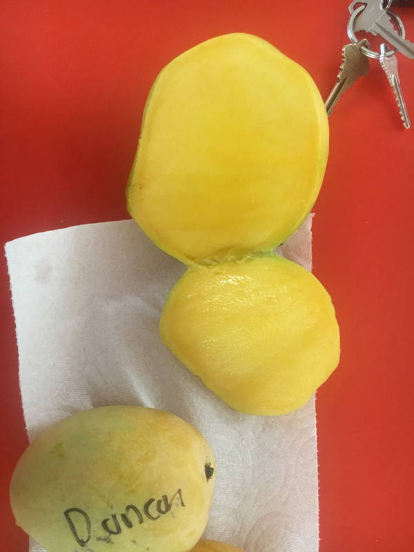 D825D893-C85E-41A2-9F66-9B35C8F1A1E1