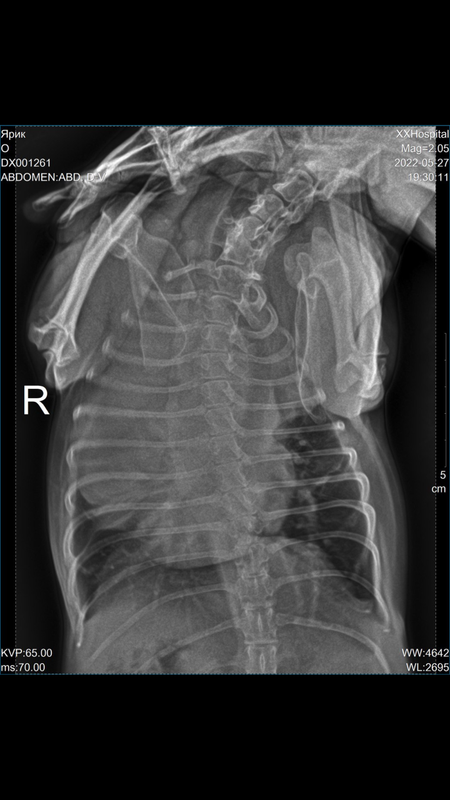 74DC62DE-A846-4D74-B730-7AB648CDCD56