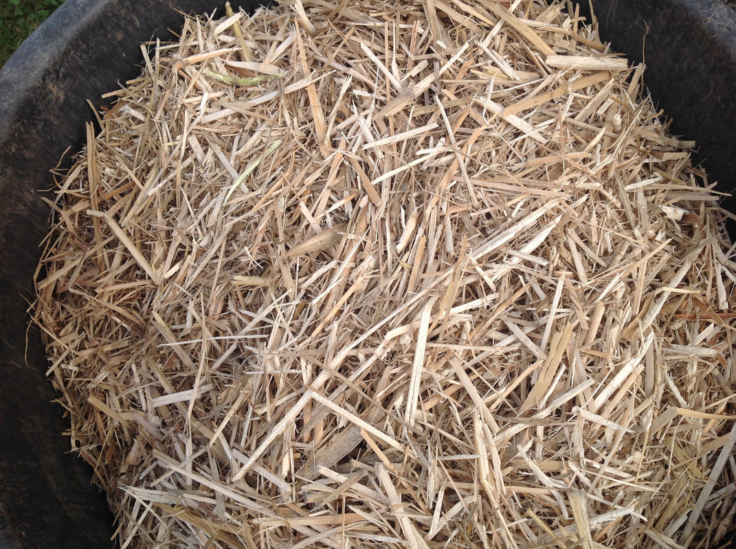 Häcksel Material 1.04.16 (8)