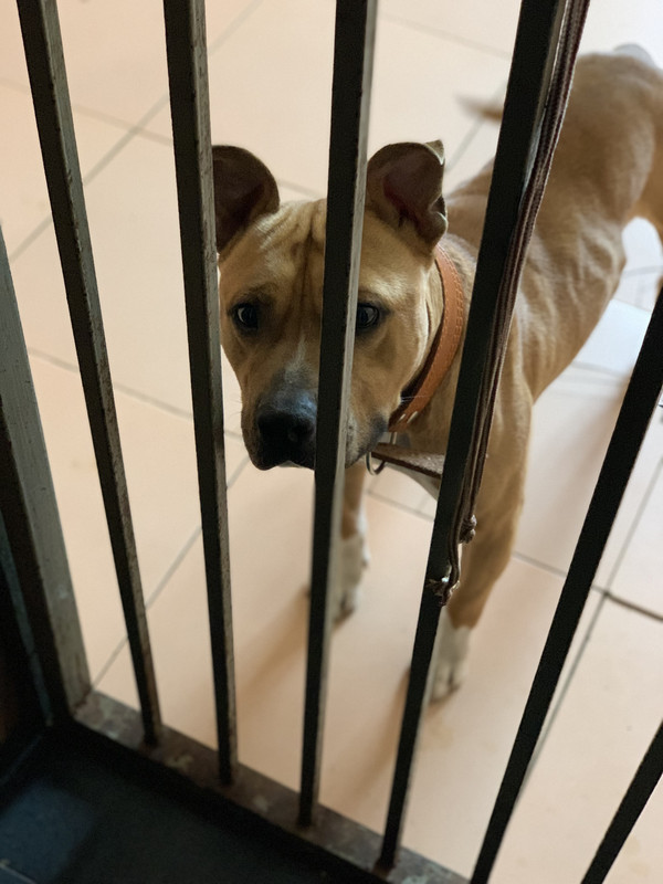 A833D3CF-B8FB-4F73-BCED-B251B0179D5C