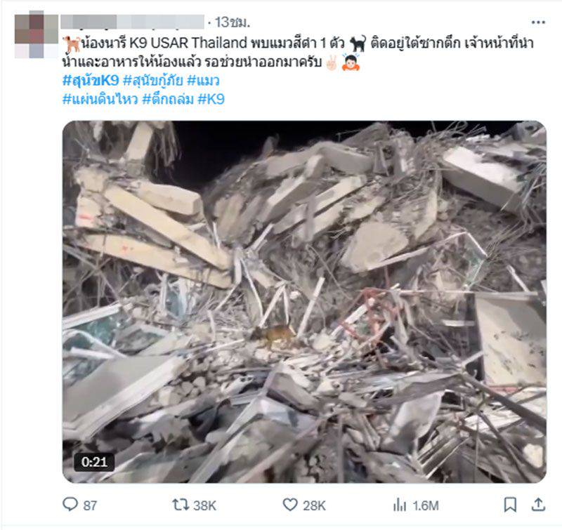 w1200-2025-03-29-T144022-937