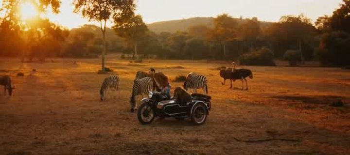 Mia.E.Il.Leone.Bianco.2018.iTALiAN.MD.TELESYNC.XviD-iSTANCE[MT].