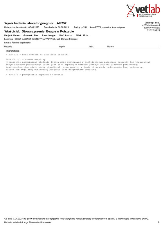 Beagle w Potrzebie Stowarzyszenie (AI9257)-1-2